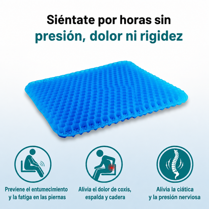 Cojín de Gel Terapéutico Selorea